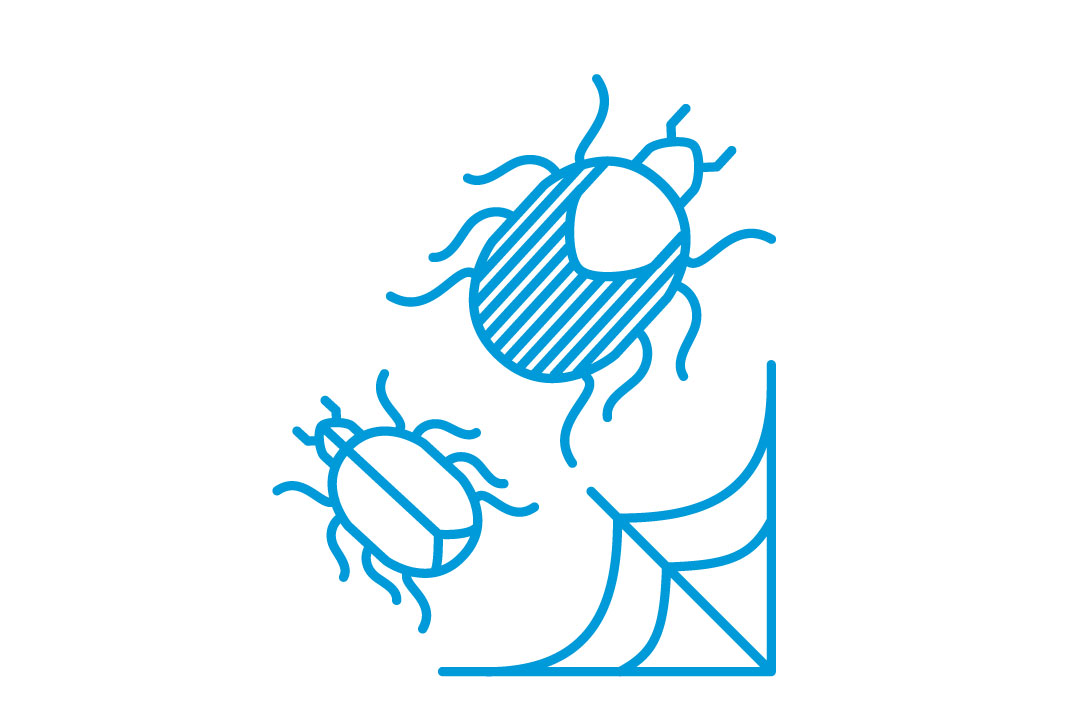 illustration of web and bug